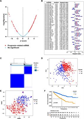 Characterizing the molecular heterogeneity of clear cell renal cell carcinoma subgroups classified by miRNA expression profile